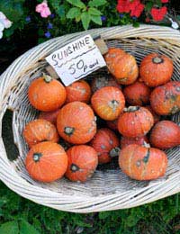 Annual British Food Fortnight Harvest