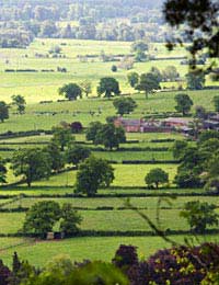 Soil Leading Campaign Membership Organic