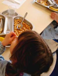 School Dinners Reputation Children Diet